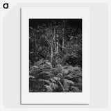 1-99_Frederick-Charles-Brockett_picture