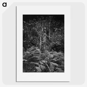1-99_Frederick-Charles-Brockett_picture