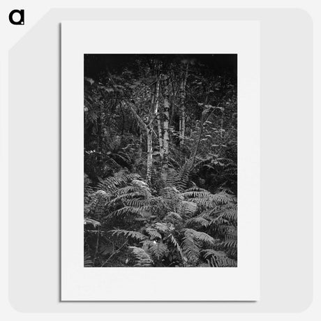 1-99_Frederick-Charles-Brockett_picture