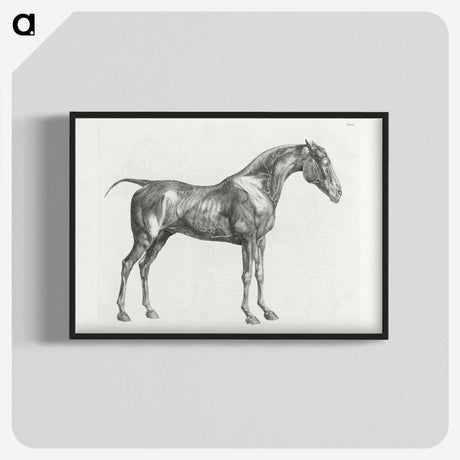 1-99_George-Stubbs_blk-crop