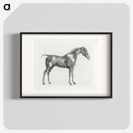 1-99_George-Stubbs_blk
