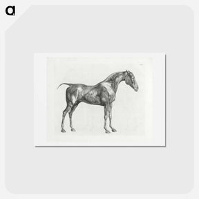 アートポストカード-The Anatomy of the Horse
 - ジョージ スタッブス Postcard.