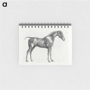 アートメモ帳-The Anatomy of the Horse
 - ジョージ スタッブス Memo.