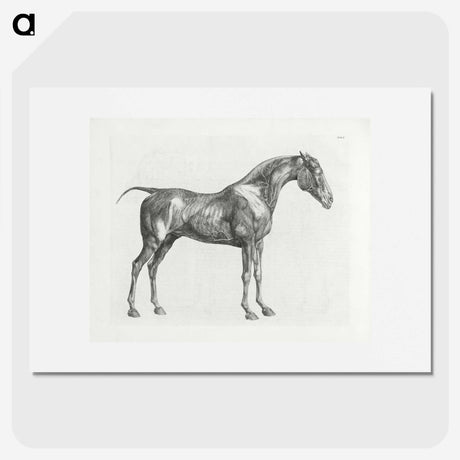 1-99_George-Stubbs_picture