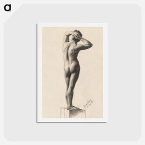 アートポストカード-Male Nude - グスタフ クリムト Postcard.