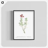 1-99_Histoire-des-Plantes-Grasses_blk-crop