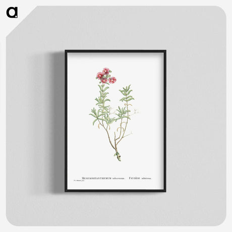 1-99_Histoire-des-Plantes-Grasses_blk-crop