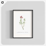 1-99_Histoire-des-Plantes-Grasses_blk