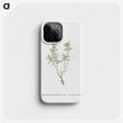 1-99_Histoire-des-Plantes-Grasses_phone