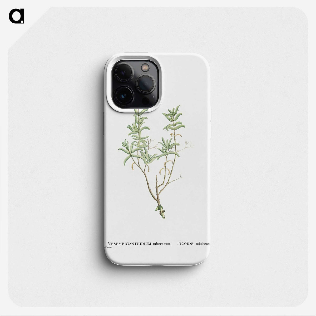 1-99_Histoire-des-Plantes-Grasses_phone