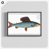 1-99_Ichtyologie-ou-Histoire-naturelle_blk-crop