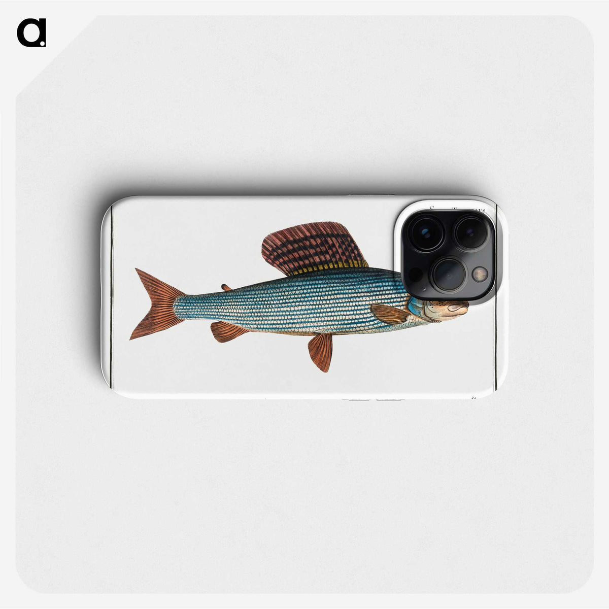 1-99_Ichtyologie-ou-Histoire-naturelle_phone