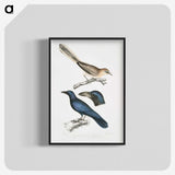 1-99_Indian-Zoology_blk-crop