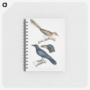 1-99_Indian-Zoology_memo