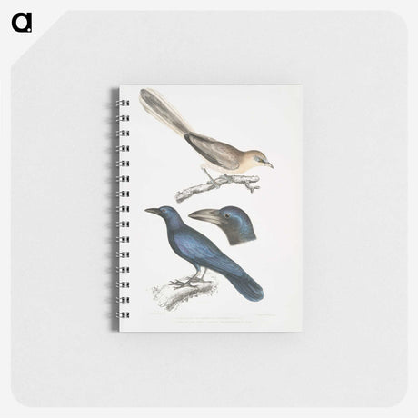 1-99_Indian-Zoology_memo