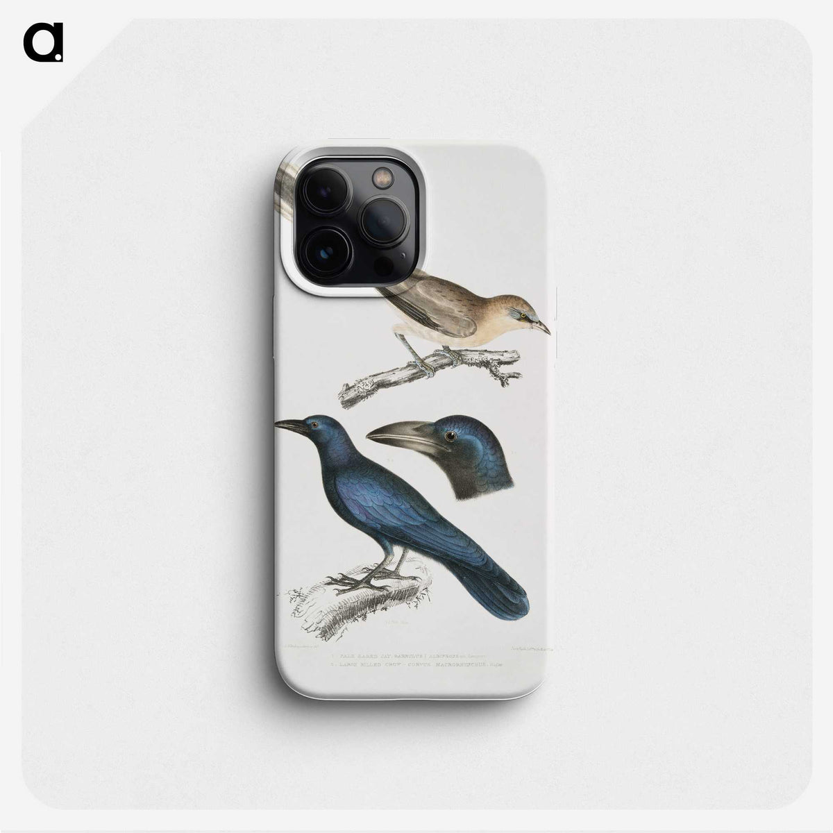1-99_Indian-Zoology_phone