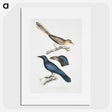 1-99_Indian-Zoology_picture