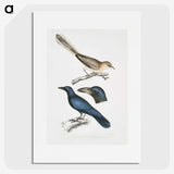 1-99_Indian-Zoology_picture