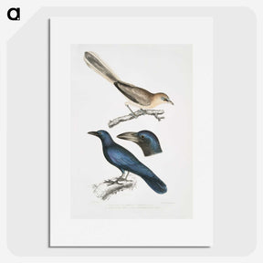 1-99_Indian-Zoology_picture