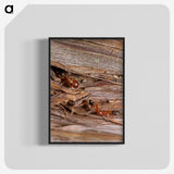 1-99_Insects-Unlocked-Project_blk-crop