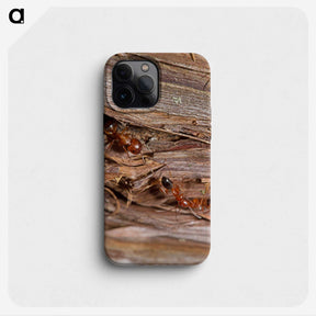 1-99_Insects-Unlocked-Project_phone