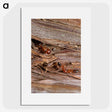 1-99_Insects-Unlocked-Project_picture