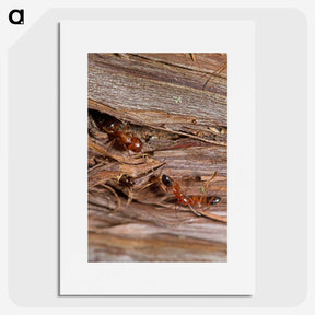 1-99_Insects-Unlocked-Project_picture