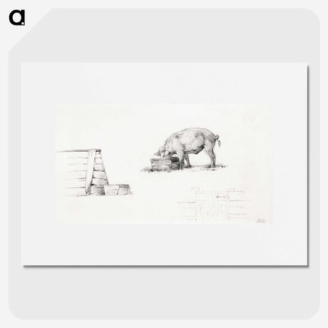 1-99_Jean-Bernard_picture