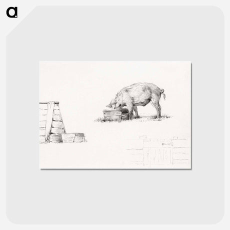 アートポストカード-Pig - ジャン ベルナール Postcard.