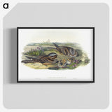 1-99_John-Gould_blk-crop