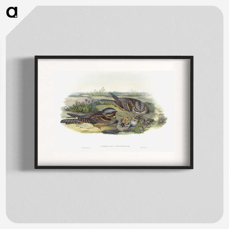 1-99_John-Gould_blk