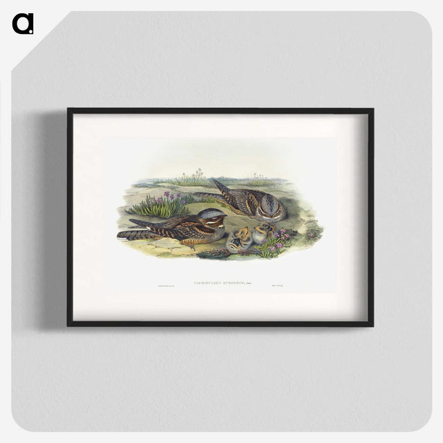 1-99_John-Gould_blk