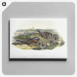 1-99_John-Gould_canvas
