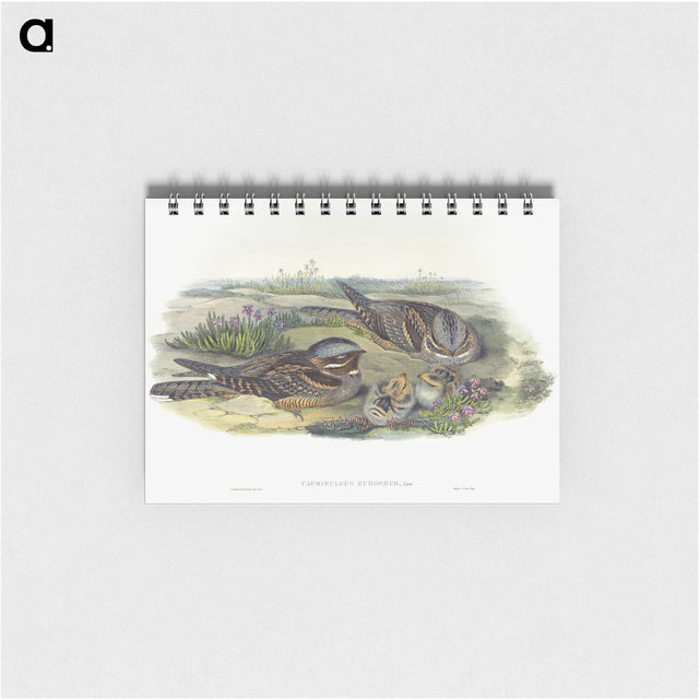 1-99_John-Gould_memo