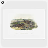1-99_John-Gould_picture