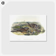 1-99_John-Gould_postcard