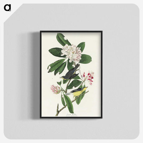 1-99_John-James-Audubon_blk-crop