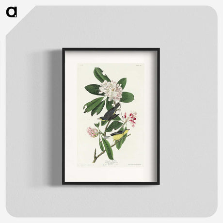 1-99_John-James-Audubon_blk