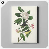 1-99_John-James-Audubon_canvas