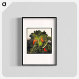 Three slugs on a cabbage - ユリー デ フラーハ Poster.