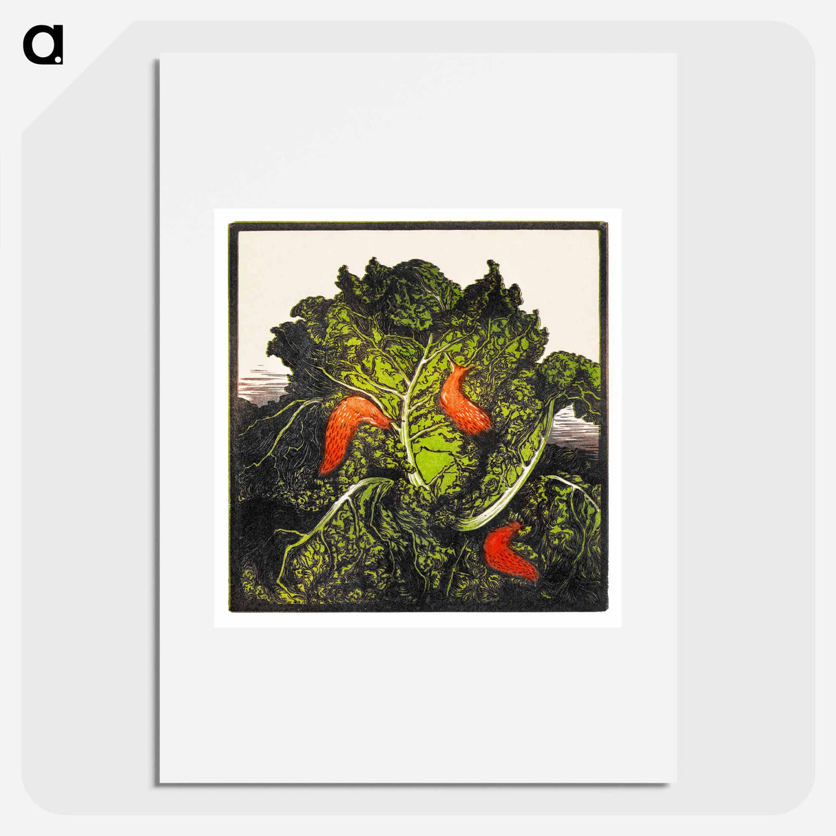 Three slugs on a cabbage - ユリー デ フラーハ Poster.