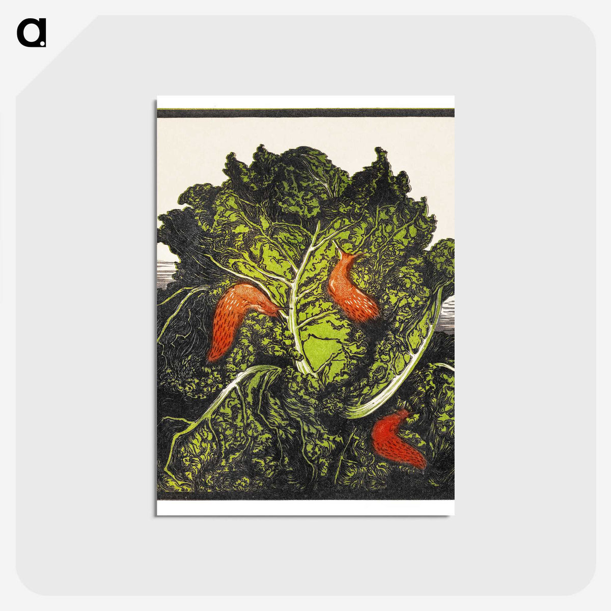 1-99_Julie-de-Graag_postcard