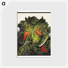 1-99_Julie-de-Graag_postcard
