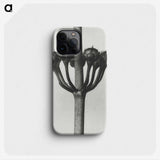 1-99_Karl-Blossfeldt_phone