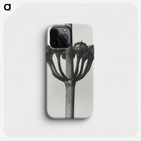 1-99_Karl-Blossfeldt_phone