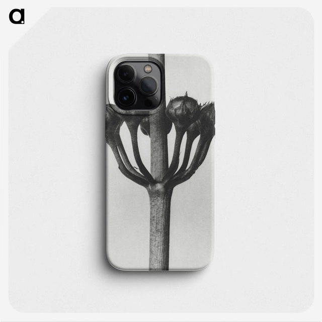 1-99_Karl-Blossfeldt_phone