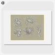 1-99_Leo-Gestel_picture