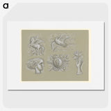 1-99_Leo-Gestel_picture