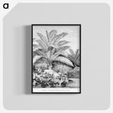 1-99_Les-Palmiers-Histoire-Iconographique_blk-crop