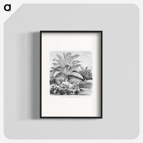 1-99_Les-Palmiers-Histoire-Iconographique_blk